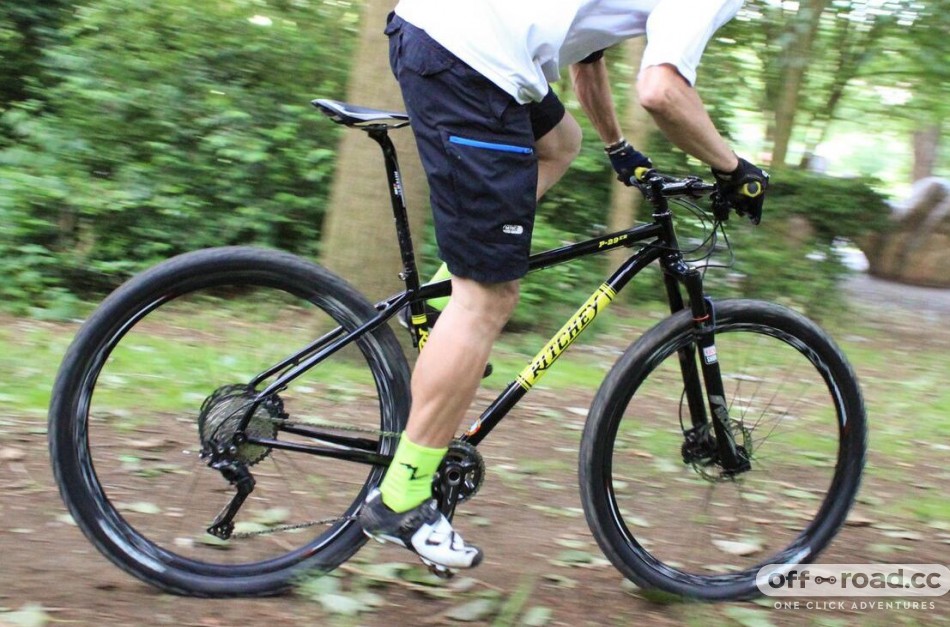 Ritchey p 29 online